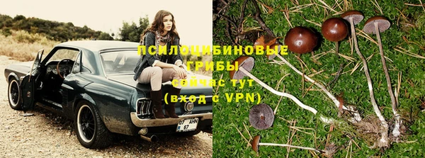 прущие крисы Балабаново