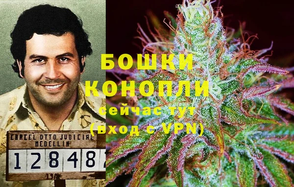 прущие крисы Балабаново