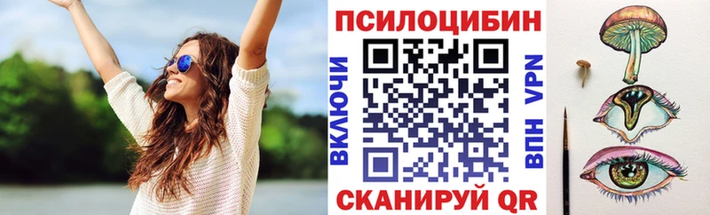 Галлюциногенные грибы Psilocybe  наркотики  Ижевск 